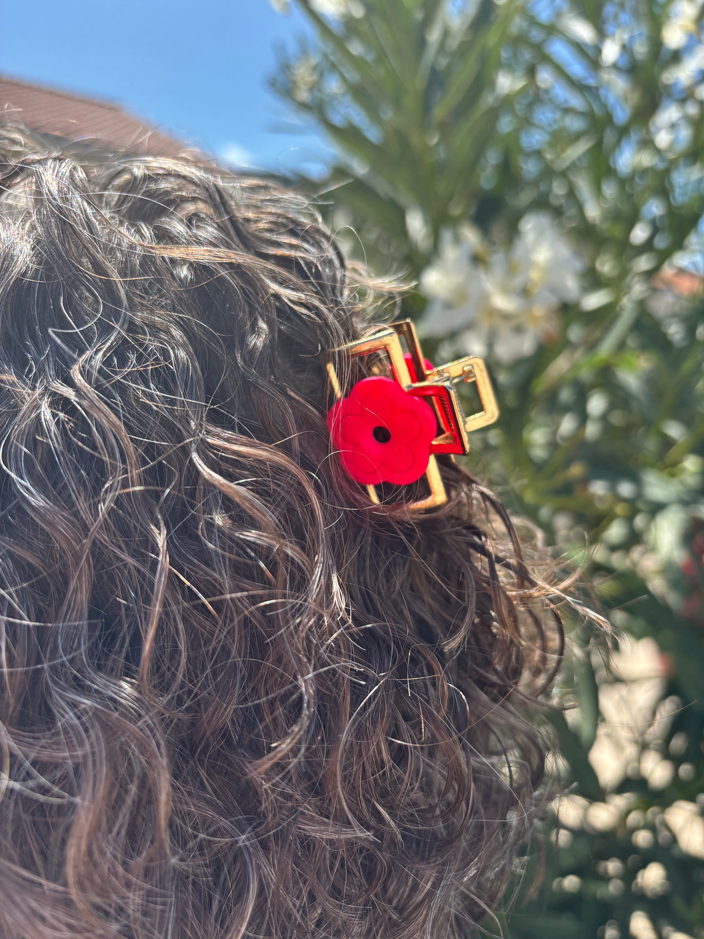 Pinces à cheveux